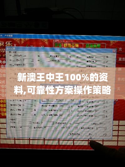 新澳王中王100%的资料,可靠性方案操作策略_DX版6.101