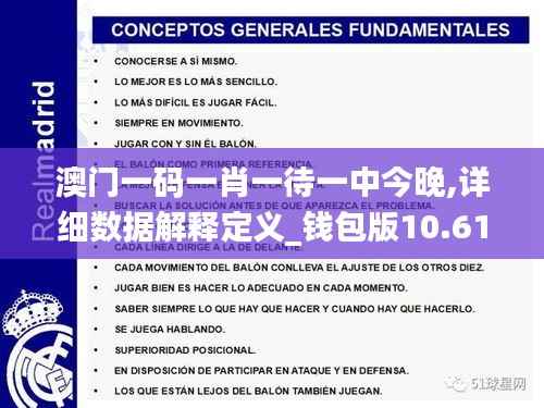 澳门一码一肖一待一中今晚,详细数据解释定义_钱包版10.619