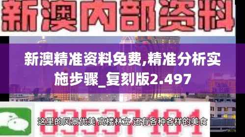 新澳精准资料免费,精准分析实施步骤_复刻版2.497
