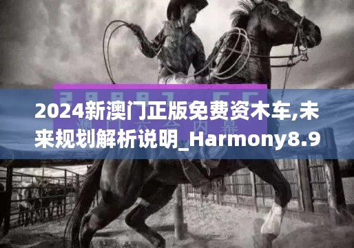 2024新澳门正版免费资木车,未来规划解析说明_Harmony8.970