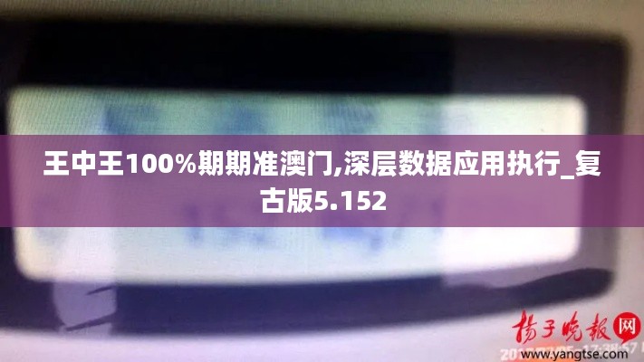 王中王100%期期准澳门,深层数据应用执行_复古版5.152