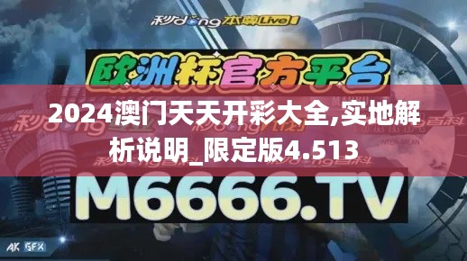 2024澳门天天开彩大全,实地解析说明_限定版4.513