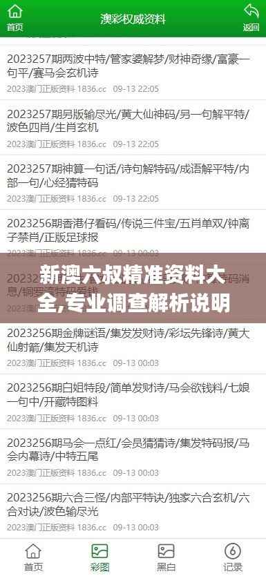 新澳六叔精准资料大全,专业调查解析说明_HD7.820