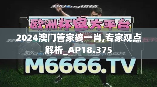 2024澳门管家婆一肖,专家观点解析_AP18.375