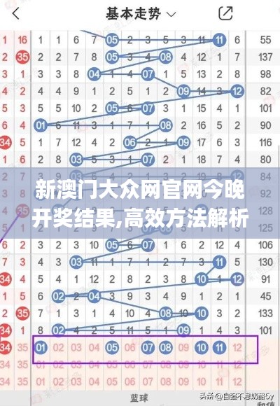新澳门大众网官网今晚开奖结果,高效方法解析_X版5.383