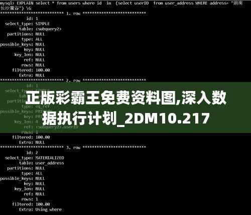 正版彩霸王免费资料图,深入数据执行计划_2DM10.217
