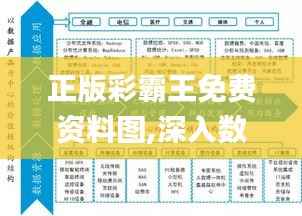 正版彩霸王免费资料图,深入数据执行计划_2DM10.217