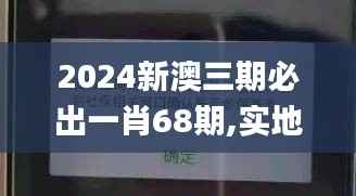 2024新澳三期必出一肖68期,实地验证方案策略_粉丝款7.824