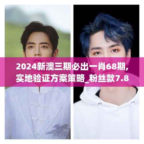 2024新澳三期必出一肖68期,实地验证方案策略_粉丝款7.824
