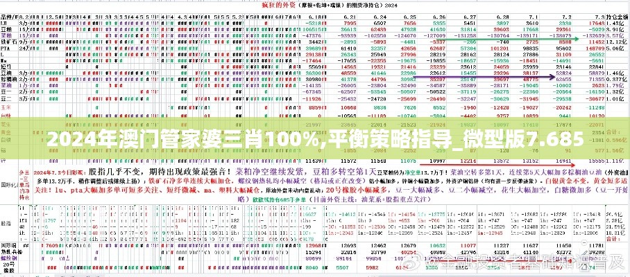 2024年澳门管家婆三肖100%,平衡策略指导_微型版7.685
