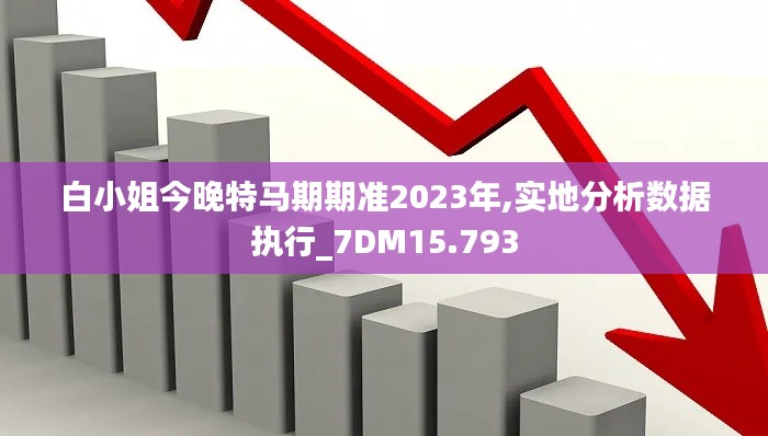 白小姐今晚特马期期准2023年,实地分析数据执行_7DM15.793