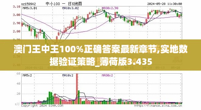 澳门王中王100%正确答案最新章节,实地数据验证策略_薄荷版3.435