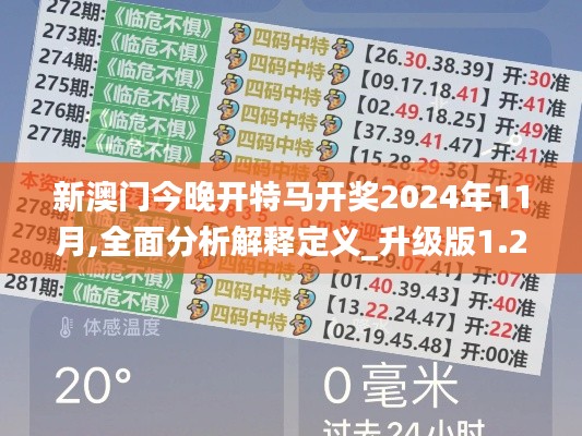 新澳门今晚开特马开奖2024年11月,全面分析解释定义_升级版1.235