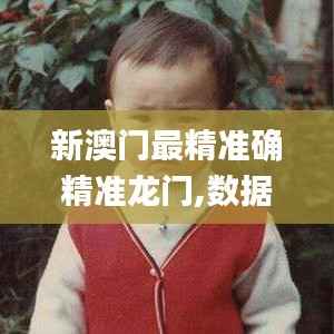 新澳门最精准确精准龙门,数据决策分析驱动_nShop8.378