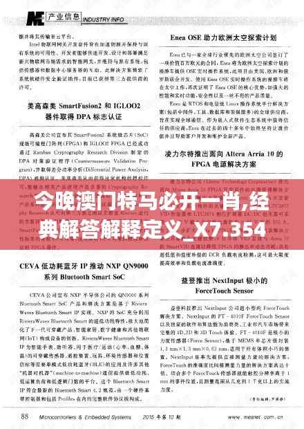 今晚澳门特马必开一肖,经典解答解释定义_X7.354