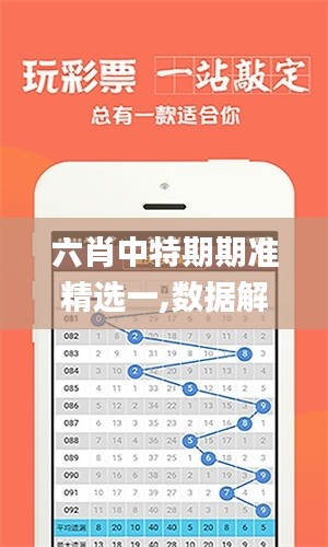 六肖中特期期准精选一,数据解读说明_标准版5.946