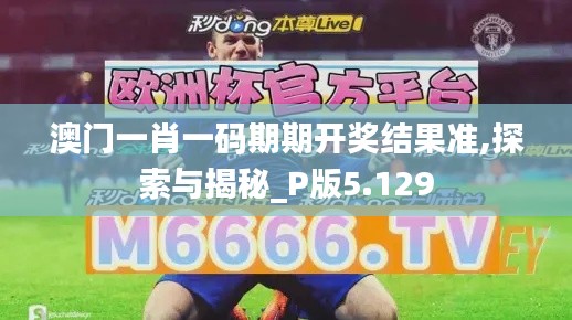 澳门一肖一码期期开奖结果准,探索与揭秘_P版5.129