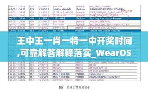 王中王一肖一特一中开奖时间,可靠解答解释落实_WearOS6.300