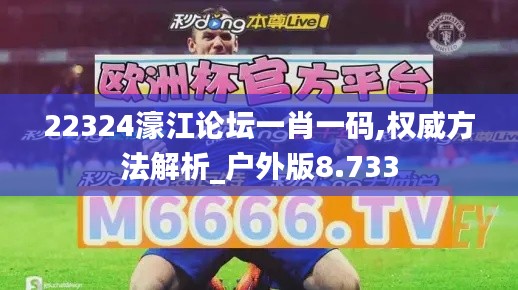 22324濠江论坛一肖一码,权威方法解析_户外版8.733