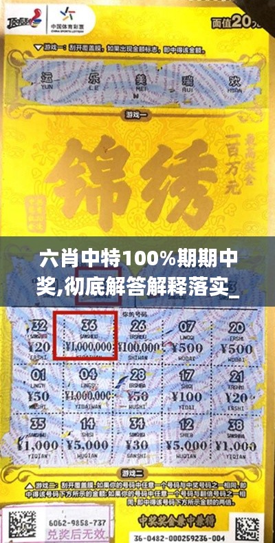 六肖中特100%期期中奖,彻底解答解释落实_视频版2.989