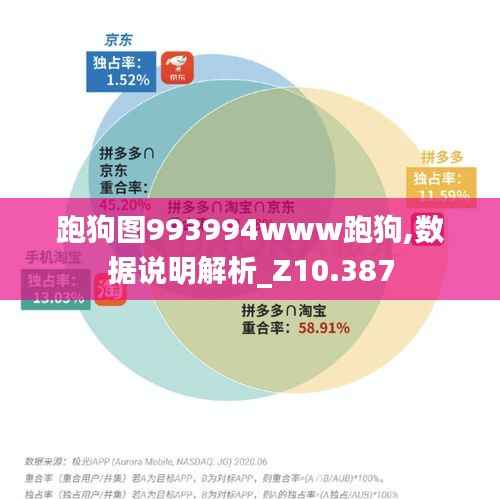跑狗图993994www跑狗,数据说明解析_Z10.387
