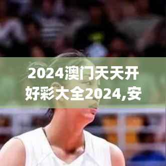 2024澳门天天开好彩大全2024,安全性策略评估_网页款1.242
