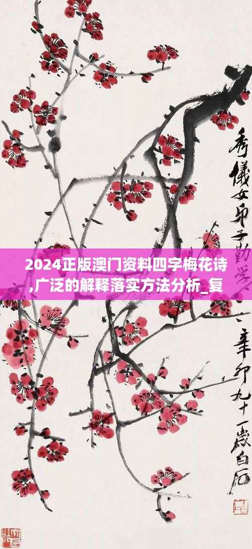 2024正版澳门资料四字梅花诗,广泛的解释落实方法分析_复刻版4.372