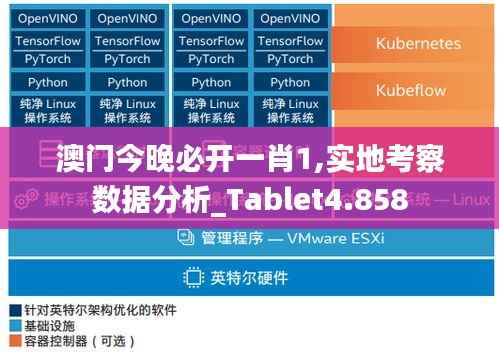 澳门今晚必开一肖1,实地考察数据分析_Tablet4.858