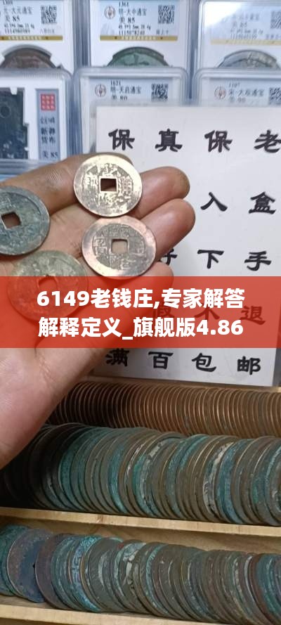 6149老钱庄,专家解答解释定义_旗舰版4.869