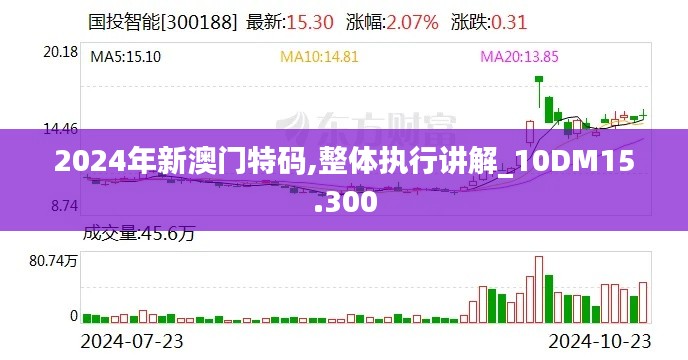 2024年新澳门特码,整体执行讲解_10DM15.300