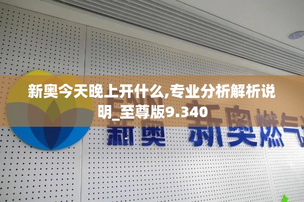 新奥今天晚上开什么,专业分析解析说明_至尊版9.340