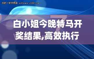 白小姐今晚特马开奖结果,高效执行计划设计_Notebook7.616