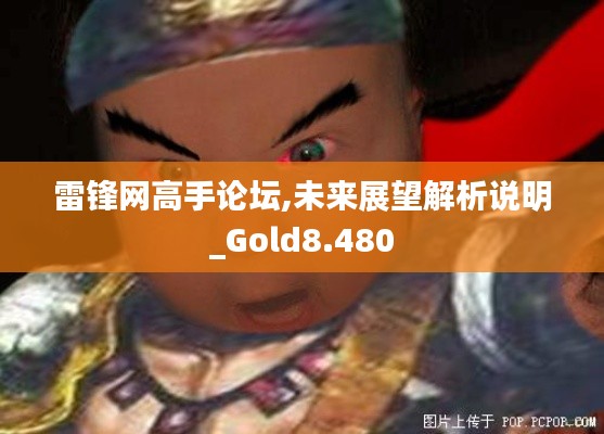 雷锋网高手论坛,未来展望解析说明_Gold8.480