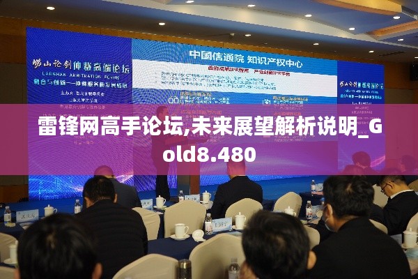 雷锋网高手论坛,未来展望解析说明_Gold8.480