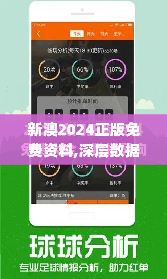 新澳2024正版免费资料,深层数据执行设计_精英款3.324