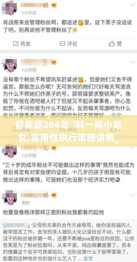 管家婆204年資料一肖小龙女,实用性执行策略讲解_挑战款19.199