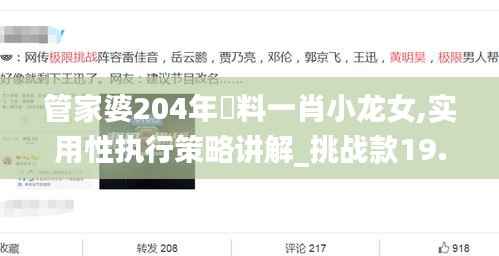 管家婆204年資料一肖小龙女,实用性执行策略讲解_挑战款19.199