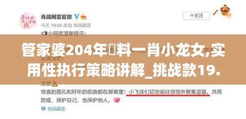 管家婆204年資料一肖小龙女,实用性执行策略讲解_挑战款19.199
