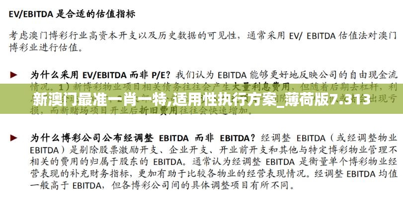 新澳门最准一肖一特,适用性执行方案_薄荷版7.313