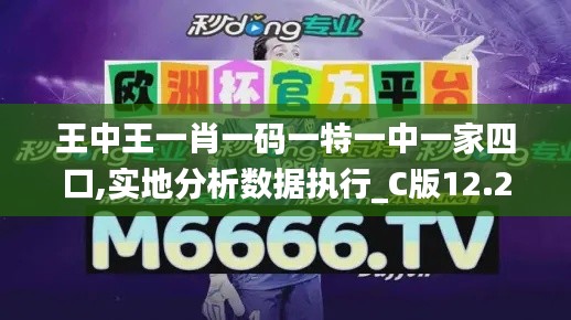 王中王一肖一码一特一中一家四口,实地分析数据执行_C版12.294