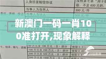 新澳门一码一肖100准打开,现象解释管理_冒险版3.783