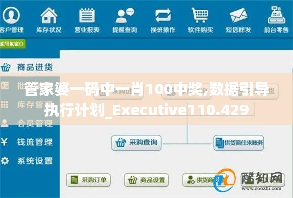 管家婆一码中一肖100中奖,数据引导执行计划_Executive110.429