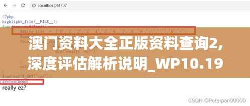 澳门资料大全正版资料查询2,深度评估解析说明_WP10.191