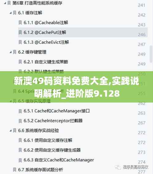 新澳49码资料免费大全,实践说明解析_进阶版9.128