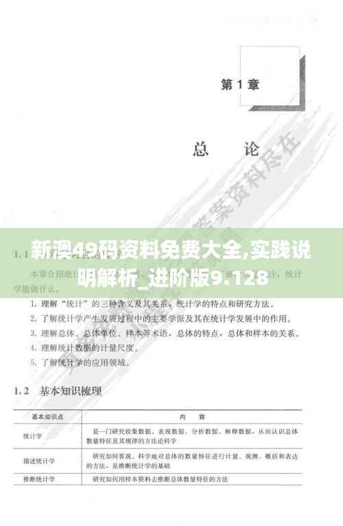 新澳49码资料免费大全,实践说明解析_进阶版9.128