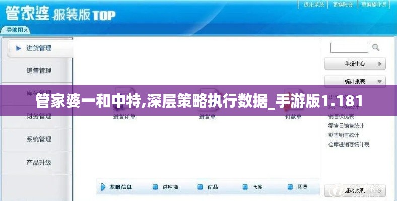 管家婆一和中特,深层策略执行数据_手游版1.181