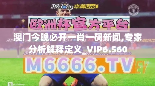 澳门今晚必开一肖一码新闻,专家分析解释定义_VIP6.560