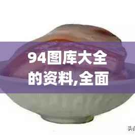 94图库大全的资料,全面数据执行方案_娱乐版9.374
