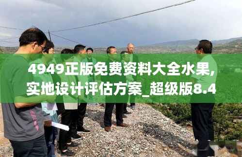 4949正版免费资料大全水果,实地设计评估方案_超级版8.476
