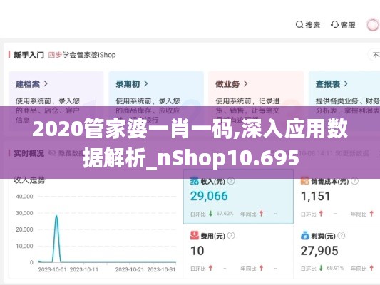 2020管家婆一肖一码,深入应用数据解析_nShop10.695